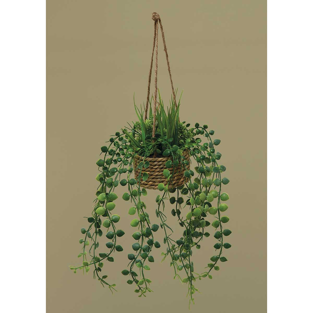 BUTTON LEAF/GRASS HANGING BUSH